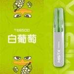 MIST X 鴨嘴獸6500口拋棄式電子煙口味推薦